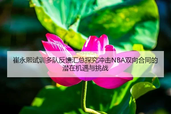崔永熙试训多队反馈汇总探究冲击NBA双向合同的潜在机遇与挑战