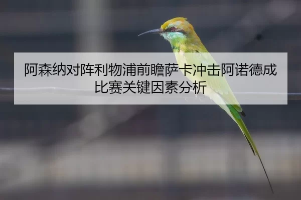 阿森纳对阵利物浦前瞻萨卡冲击阿诺德成比赛关键因素分析