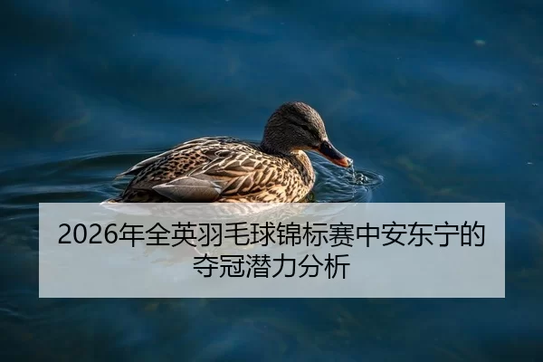 nian-quan-ying-yu-mao-qiu-jin-biao-sai-zhong-an-dong-ning-de-duo-guan-qian-li-fen-xi-2-326.jpg