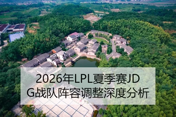 2026年LPL夏季赛JDG战队阵容调整深度分析