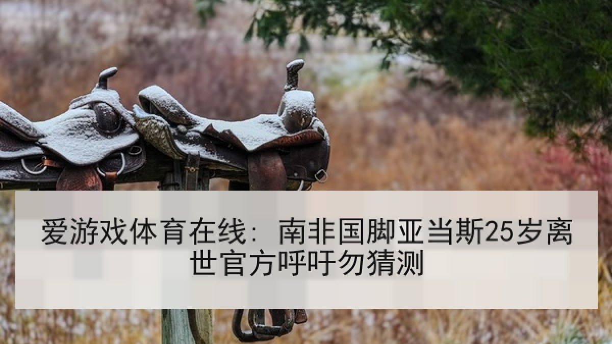 爱游戏体育在线: 南非国脚亚当斯25岁离世官方呼吁勿猜测