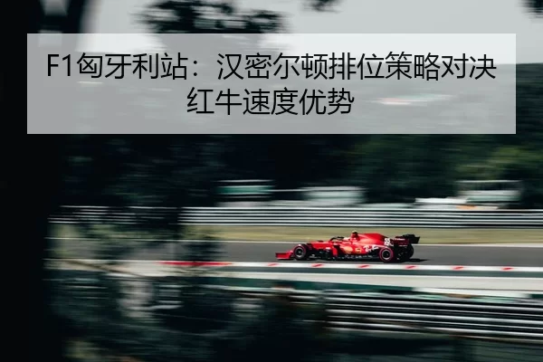 xiong-ya-li-zhan-han-mi-er-dun-pai-wei-ce-lve-dui-jue-hong-niu-su-du-you-shi-2-673.jpg