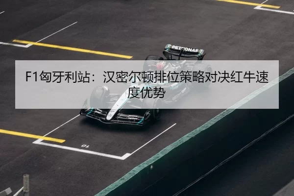 xiong-ya-li-zhan-han-mi-er-dun-pai-wei-ce-lve-dui-jue-hong-niu-su-du-you-shi-3-723.jpg