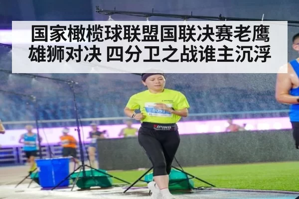 国家橄榄球联盟国联决赛老鹰雄狮对决 四分卫之战谁主沉浮